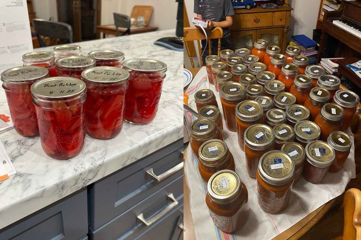Home-canned jars lined up on a kitchen counter.