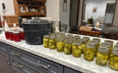 From Garden to Pantry: Your Recipe for a Successful Canning Season in Minnesota